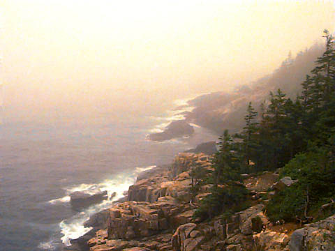 Acadia Coastline