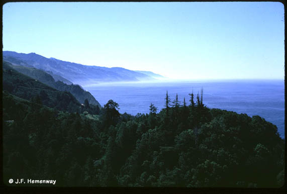 Big Sur