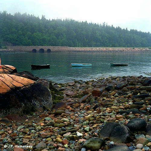 Otter Cove- Acadia