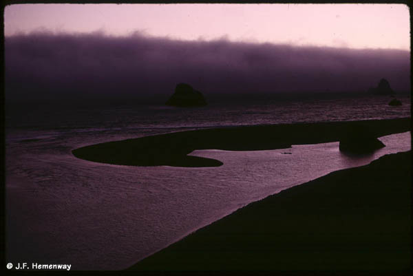 Russian River at Jenner